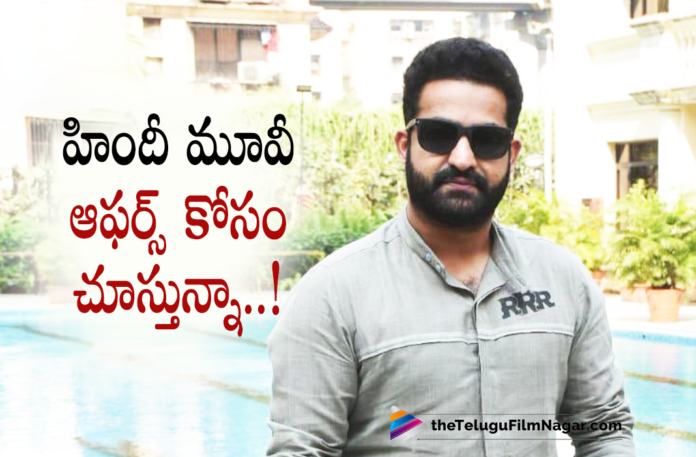 Young Tiger Jr NTR Opens Up About Bollywood Projects,Telugu Filmnagar,Latest Telugu Movies News,Telugu Film News 2021,Tollywood Movie Updates,Tollywood Latest News,Jr NTR,Jr NTR Latest News,Jr NTR New Movie News,Jr NTR Upcoming Film Updates,Jr NTR Opens Up About Bollywood Projects,Hero Jr NTR Opens Up About Bollywood Projects,Young Tiger Jr NTR,Jr NTR Latest News,Jr NTR About Bollywood Projects,Jr NTR Looking For Bollywood Projects