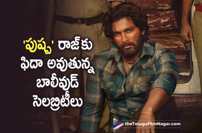 Bollywood Celebrities Praise Pushpa The Rise,Telugu Filmnagar,Latest Telugu Movie 2022,Telugu Film News 2022,Tollywood Movie Updates,Latest Tollywood Updates,Latest Telugu Movies News, Tollywood Movie 2022,Bollywood Celebrities,Bollywood Celebrities Praise Pushpa,Pushpa Movie Bollywood Response,Celebrities Praise Pushpa The Rise,Pushpa Movie Celebrity Response, Pushpa Movie Bollywood Celebrity Response,Pushpa Movie Collections,Pushpa Movie Box office Collections,Director Sukumar,Sukumar Movies,Sukumar Latest Hits, Sukumar New Movies,Sukumar Sensational Hit Pushpa,Allu Arjun Acting In pushpa Movie,Allu Arjun Acting In Pushpa,Pushpa Part-1,Pushpa Part-2#PUSHPA #AlluArjun