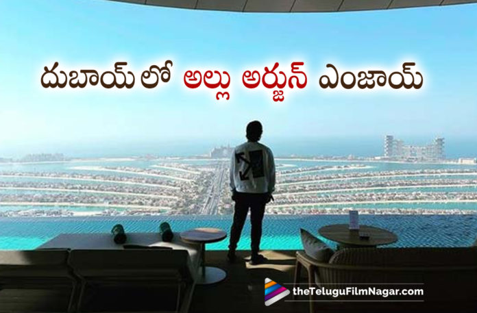 Allu Arjun enjoys the incredible Dubai’s skyline,Telugu Filmnagar,Latest Telugu Movies News,Telugu Film News 2022,Tollywood Movie Updates,Latest Tollywood News,Tollywood Movies, Allu Arjun,Allu Arjun At Dubai,Allu Arjun Enjoys Dubai Skyline,Allu Arjun in Dubai,Allu Arjun share a Photo,Allu Arjun shared Dubai Skyline Images,Allu Arjun Dubai skyline images Goes viral, Allu Arjun Dubai skyline images Goes viral in Social Media,Allu Arjun Dubai skyline Photos,Allu Arjun at Dubai's Palm Jumeirah share a incredible photo, Allu Arjun share a incredible Image of Dubai Skyline View,Photo Moment Allu Arjun enjoys the incredible Dubai's skyline,Allu Arjun enjoys the incredible Dubai skyline photo goes viral, Allu Arjun vacationing in Dubai,Allu Arjun Photo Gallery,Allu Arjun latest Photos,Allu Arjun latest Images,Allu Arjun goes viral in social Media,Allu Arjun shared His incredible photo from Dubai skyline, Allu Arjun Pushpa,Allu Arjun Pushpa the Rise,Allu Arjun Pushparaj,Allu Arjun Pushpa Blockbuster Movie,Allu Arjun latest Updates,Allu Arjun Latest News,Allu Arjun Movie News, Allu Arjun Upcoming movies,Allu Arjun New Movies,Allu Arjun Next Projects
