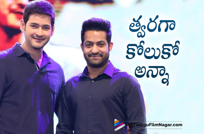 Jr NTR wishes Mahesh Babu,Mahesh Babu Tests Positive For COVID-19,Mahesh Babu Tested Positive for Covid-19,Mahesh Babu Tests Positive For Covid-19,Telugu Filmnagar,Telugu Film News 2022,Latest Tollywood Updates,Latest Telugu Movie Updates 2022,Mahesh Babu Tests Positive For Covid 19,Mahesh Babu,Actor Mahesh Babu,Hero Mahesh Babu,Mahesh Babu Tests Positive,Mahesh Babu Tests Covid 19 Positive,Mahesh Babu Tests COVID-19 Positive,Mahesh Babu Positive For COVID-19,Mahesh Babu Tests Positive For Coronavirus,Mahesh Babu Tests Coronavirus Positive,Mahesh Babu Latest News,Mahesh Babu News,Mahesh Babu Tests COVID Positive,Mahesh Babu Tests Covid Positive,Mahesh Babu New Movie,Mahesh Babu Covid Positive,Mahesh Babu Corona Positive,Mahesh Babu Updates,Mahesh Babu Health News,Mahesh Babu Latest Health Report,Mahesh Babu Latest Health Condition,Mahesh Babu Health Condition,Mahesh Babu Health COVID-19,Mahesh Babu Covid 19 Positive,Sarkaru Vaari Paata,Jr NTR,Jr NTR Movies,Jr NTR New Movie,Jr NTR Latest Movie,Jr NTR Latest News,Jr NTR Tweet,Jr NTR wishes Mahesh Babu A Speedy Recovery,Jr NTR Wish Mahesh Babu A Speedy Recovery,Film Industry Unites To Wish Mahesh Babu Speedy Recovery,Celebs Send Wishes For Mahesh Babu After He Tests Covid Positive,Celebs Send Wishes For Mahesh Babu,Celebrities Wish Speedy Recovery Of Mahesh Babu,Jr NTR About Mahesh Babu,Tollywood Celebs Send Wishes For Mahesh Babu,Tollywood Celebs Wishes For Mahesh Babu,#MaheshBabu,#SuperStarMaheshBabu,#JrNTR