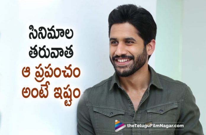 Naga Chaitanya Loves This After Movies,That World Is What I Like Naga Chaitanya,Latest Telugu Movie Updates 2022,Naga Chaitanya,Naga Chaitanya Movies,Naga Chaitanya New Movie,Naga Chaitanya Latest Movie,Naga Chaitanya New Movie Update,Naga Chaitanya Latest Movie Update,Naga Chaitanya Upcoming Movie,Naga Chaitanya Next Project,Naga Chaitanya New Project,Naga Chaitanya Upcoming Project,Love Story,Love Story Movie,Love Story Telugu Movie,Love Story Full Movie,Naga Chaitanya Love Story,Love Story Telugu Full Movie,Telugu Filmnagar,Latest Telugu Movies News,Telugu Film News 2022,Tollywood Movie Updates,Latest Tollywood Updates,Naga Chaitanya Latest Film Updates,Naga Chaitanya Movie updates,Naga Chaitanya Movie news,Naga Chaitanya Latest News,Naga Chaitanya Thank You,Naga Chaitanya Thank You Movie,Thank You,Thank You Movie,Thank You Telugu Movie,Thank You Movie Updates,Thank You Movie Latest Updates,Hero Naga Chaitanya Loves His Cars After Movies,Naga Chaitanya Cars,Car Collection Of Akkeni Naga Chaitanya,Akkineni Naga Chaitanya Car And Bike Collection,Akkineni Naga Chaitanya,Naga Chaitanya Bike Collection,Naga Chaitanya Bikes,Naga Chaitanya Cars,Naga Chaitanya Gift Car,Naga Chaitanya About His Cars And Bikes,Naga Chaitanya About His Cars,#NagaChaitanya