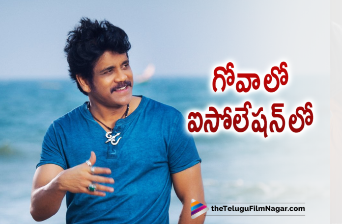 Nagarjuna leaves to Goa Nagarjuna leaves to Goa,Telugu Filmnagar,Latest Telugu Movies News,Telugu Film News 2022,Tollywood Movie Updates,Latest Tollywood News,Tollywood Movies, Nagarjuna,Nagarjuna leaves for Goa,Nagarjuna goes for isolation in Goa,Nagarjuna goes Goa and isolated him Self,Nagarjuna At Goa,Nagarjuna Goa Trip, Akkineni Nagarjuna leaves to Goa,Akkineni Nagarjuna leaves to Goa for isolation,Akkineni Nagarjuna Bangarraju,Akkineni Nagarjuna Bangarraju Movie, Akkineni Nagarjuna Bangarraju Latest Movie,Akkineni Nagarjuna Bangarraju Super Hit Movie,Akkineni Nagarjuna and Naga Chaitanya Bangarraju, Nagarjuna and Naga Chaitanya Bangarraju Movie,Covid-19,Nagarjuna Under Isolation In Goa,Bangarraju Team Covid Cases