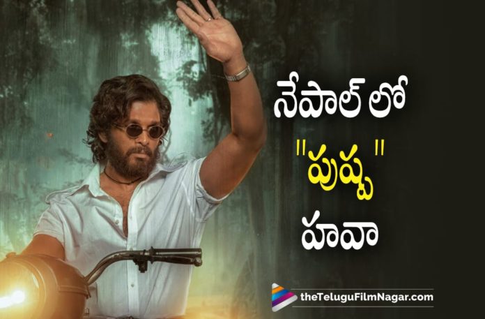 Pushpa Movie Craze In Nepal,Latest Telugu Movie 2022,Telugu Film News 2022,Tollywood Movie Updates,Latest Tollywood Updates,Latest Telugu Movies News, Tollywood Movies 2022,Nepal Crazy at Nepal,Nepali Crazy to Watch Pushpa Movie,Pushpa Movie At Nepal,Pushpa Crazy In Nepal,Nepal Box Office Collections,Allu Arjun Pushpa Movie Crazy, Mass Movie Pushpa Craze in Nepal,Pushpa Craze in Nepal,Pushpa The Rise Nepali Craze,Pushpa The Rise Crazy Hit,Blockbuster Movie Pushpa The Rise In Nepal,Crazy Movie Collection For Pushpa, Allu Arjun Psuhpa The Rise Movie,Allu Arjun Pushpa The Rise,Allu Arjun As Pushpa Raj,Rashmika In Pushpa Movie,Rashmika as Srivali,Pushpa Latest Updates,Pushpa Latest News,