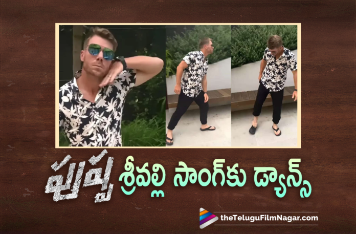 Star Cricketer David Warner Dances For Pushpa Srivalli Song,Telugu Filmnagar,Latest Telugu Movies News,Telugu Film News 2022,Tollywood Movie Updates,Latest Tollywood News,Tollywood Movies, David Warner,David Warner Dance,David Warner pulls off Srivalli hook step in epic viral video,David Warner nails Allu Arjun's hook step in 'Srivalli' song,Star Cricketer David Warner,Cricketer David Warner,David Warner Dance to Song,David Warnerlatest updates,David Warner SOcial Media,David Warner Dance For Pushpa Song, David Warner Dance for Pushpa Movie song Goes Viral,David Warner Dance Goes Viral In Social Media,Cricketer David Warner Dance Goes Viral In Social Media, David Warner Dances For Srivalli Song From Pushpa Movie,David Warner Instagram Reels,David Warner Dance for Pushpa Srivalli Song,David Warner Shared his Dance Video In Social Media,Allu Arjun Psuhpa Movie, Super Hit Movie Pushpa,Icon Star Allu Arjun Pushpa,Pushpa The Rise Songs,Pushpa Srivalli Song,#davidwarner