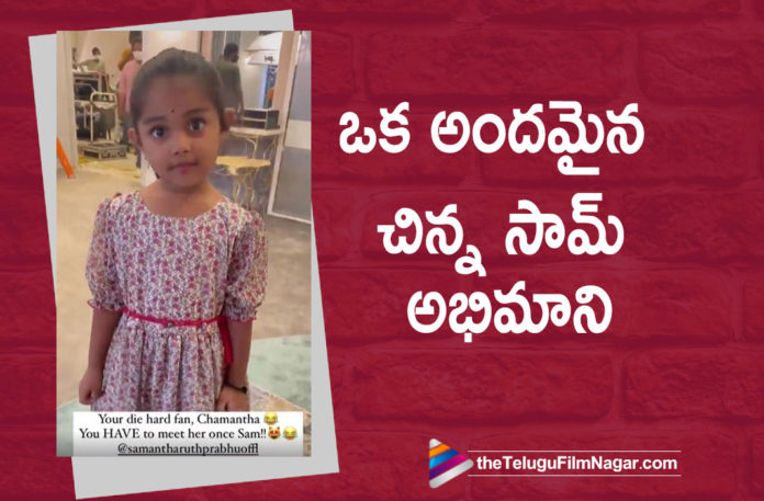 Keerthy Suresh Introduces This Cute Lil Fan of Samantha,Telugu Filmnagar,Latest Telugu Movies News,Telugu Film News 2022,Tollywood Movie Updates,Latest Tollywood News,Tollywood Movies, Keerthy Suresh,Keerthy Suresh Movies,Keerthy Suresh latest Telugu Movies,Keerthy Suresh Movie Updates,Keerthy Suresh new movie,Keerthy Suresh upcoming Moives 2022, Keerthy Suresh introduces a Cute Lil fan of Samantha,Samantha latest Movies,Samantha upcoming Movies,Samantha latest upcoming Moives in 2022,Keerthy Suresh About Samantha, Keerthy Suresh shares a video of Cute about Lil Fan,Samantha in Pushpa the Rise Movie,Samantha Blockbuster Moive Pushpa the rise Movie,Samanthas Lil Cute fan,Keerthy Suresh Introduces Smanthas Lil Fan, #KeerthySuresh,#Samantha