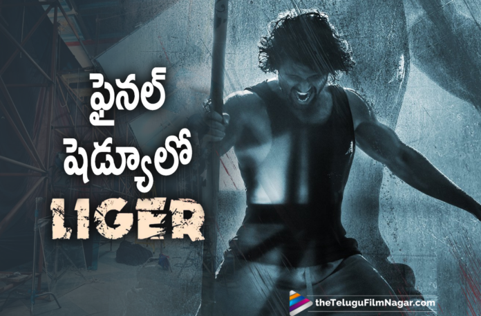 Liger Movie Shoot In Final Schedule,Telugu Filmnagar,Latest Telugu Movies News,Telugu Film News 2022,Tollywood Movie Updates,Latest Tollywood News,Tollywood Movies, Liger,Liger Movie,Liger Movie Updates,Liger latest News,Liger News Updates,Liger latest MOvie Shooting Updates,Liger Shooting Final Schedule,Liger Movie FInal Schedule, Vijay Deverakonda Liger Movie,Vijay Deverakonda Liger Final Shooting Updates,Vijay Deverakonda Liger Completes,Charmy Kaur Shared Social Media Post about Liger FInal Shoot, Charmy Tweet in social Media,Ananya Panday with Vijay Deverakonda Movie Liger,Ananya Panday in Liger Telugu Movie,Ananya Panday Upcoming Movie,Ananya Panday Latest Movie with Vijay Deverakonda, Puri Jagannadh Movie Liger,Puri Jagannadh Upcoming Movie Liger,Puri Jagannadh Upcomign Projects,Puri Jagannadh Liger Movie Shoot Updates,Liger On August 25th Release, Liger Movie In Theaters on August 25th,#liger,#purijagannadh