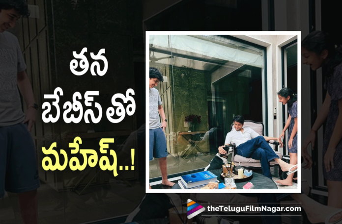 Mahesh Babu Having A Great Time With His Kids And Pets,Telugu Filmnagar,Latest Telugu Movies News,Telugu Film News 2022,Tollywood Movie Updates,Latest Tollywood News,Tollywood Movies, Mahesh babu Upcomign Movies,Mahesh Babu New Movies,Mahesh Babu latest Movie Updates,Mahesh Babu Having A Great Time with Kids,Mahesh Babu Having A Great Time with Kids And Pets, Mahesh Babu with sitara and Gautam,Mahesh Babu having best time with sitara and Gautam,Mahesh babu Fun time with Sitara & Gautham, Mahesh Babu Sarkaru Vaari paata Updates,Mahesh Babu Sarkaru Vaari paata Songs,Mahesh Babu Upcoming Movies,Mahesh Babu Sarkaru Vaari paata Movie Songs, SS Thaman songs,SVP First Single,SVP First Single on February 14,SVP First Single Release Date,SVP First Single Update,SVP First Single Updates, Telugu Film News 2022,Telugu Filmnagar,Thaman S,Thaman S Movies,#SarkaruVaariPaata