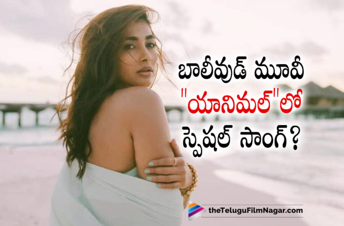 Pooja Hegde Special Song In A Bollywood Movie?,Telugu Filmnagar,Latest Telugu Movies News,Telugu Film News 2022,Tollywood Movie Updates,Latest Tollywood News,Tollywood Movies, Pooja Hegde,Pooja Hegde Latest Updates,Pooja Hegde Latest News,Pooja Hegde Upcoming Movies,Pooja Hegde latest Movie Updates 2022,Pooja Hegde in Bollywood Movie, Pooja Hegde in Bollywood Movie Item Song,Pooja Hegde Special Song In Bollywood Movie,Pooja Hegde To Dance in Special Song in Bollywood Movie,Pooja Hegde in Bollywood Movie, Pooja Hegde in Animal movie,Pooja Hegde In Radhe Shyam Movie,Pooja Hegde with Prabhas Movie Radhe Shyam Movie,Pooja Hegde with Chiranjeevi Movie Achraya,Pooja Hegde Acharya Movie Updates, Pooja Hegde in Cirkus Movie,Pooja Hegde in Hindi Movie Cirkus,Pooja Hegde Bhaijaan Movie,Pooja Hegde Upcoming Movie Bhaijaan,Pooja Hegde Hindi Movie Bhaijaan,#SSMB28 Bhavadeeyudu Bhagat Singh Movie,Pooja Hegde Movie Bhavadeeyudu Bhagat Singh,Pooja Hegde With pawankalyan,#poojahegde