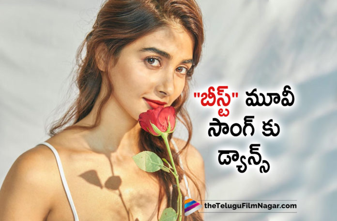 Pooja Hegde dances for Beast Movie Song,Telugu Filmnagar,Latest Telugu Movies News,Telugu Film News 2022,Tollywood Movie Updates,Latest Tollywood News,Tollywood Movies, Pooja Hegde,Pooja Hegde Dance,Pooja Hegde Dance For Beast Movie,Pooja Hegde Upcoming Movie,Pooja Hegde New Movie,Pooja Hegde movies In 2022,Arabic Kuthu Song from Beast Movie, Pooja Hedge Dance on a Arabic Kuthu Song From Beast Movie,Beast Moive songs,Arabic Kuthu Beast Thalapathy Vijay,Thalapathy Vijay and Pooja Hedge Movie Beast, Thalapathy Vijay and Pooja Hegde Dance For Arabic Kuthu,Arabic Kuthu Song goes Viral In social Media,Arabic Kuthu Pooja Hegde Dance Goes Viral in Social Media, Arabic Kuthu Songs Views In you Tube,Arabic Kuthu Getting Huge Response for the Song in Social Media,Pooja Hedge with Mahesh Babu #SSMB28,#poojahegde,#Thalapathyvijay