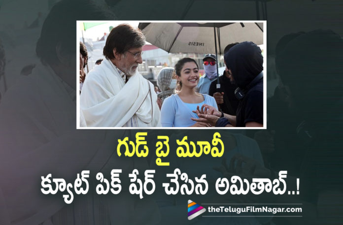 Amitabh Bachchan Shares A Picture With Actress Rashmika Mandanna,Telugu Filmnagar,Telugu Film News 2022,Tollywood Movie Updates,Latest Tollywood Updates,Latest Film Updates,Tollywood Celebrity News, Amitabh Bachchan,Legendary actor amitabh bachchan,Amitabh Bachchan Movie Updates,Amitabh Bachchan latest Movie Updates,Amitabh Bachchan Upcoming Movie,Amitabh Bachchan latest Updates, Rashmika Mandanna Bollywood debut with Mission Majnu Movie,Rashmika Mandanna Mission Majnu Movie,Rashmika Mandanna Pushpa:The Rise Movie,Rashmika Mandanna Dance in Saami Saami Song,Rashmika Mandanna Acting with Amitabh Bachchan in the Hindi film, Rashmika Mandanna Goodbye Movie,Rashmika Mandanna in Goodbye Movie with Amitabh Bachchan,Amitabh Posted a Picture with her From the sets of Goodbye Movie,Amitabh loved sharing the screen with the young actress,Goodbye stars Amitabh Bachchan and Rashmika Mandanna in the lead roles, Ekta Kapoor and Shivashish Sarkar produced the film under the banners of Balaji Motion Pictures and Reliance Entertainment,Amitabh BTS picture from the sets of the film on his Instagram,Rashmika Mandanna national crush,Rashmika will join the sets of Pushpa: The Rule Soon, Amitabh Bachchan In Social Media shared BTS with Rashmika goes viral,#Goodbye,#Amitabhbachchan,#Rashmikamandhanna