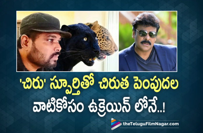 Chiranjeevi Appreciates A Telugu Doctor In Ukraine,Telugu Filmnagar,Latest Telugu Movies 2022,Telugu Film News 2022,Tollywood Movie Updates,Latest Tollywood Updates, Russo-Ukrainian War,Telugu Doctor in Ukraine,Mega star Chiranjeevi,Megastar Chiranjeevi Appreciates telugu Doctor,#TeluguDoctor,#UkraineWar,Telugu Doctor In Ukraian, Telugu Doctor with Jaguar,Telugu doctor Kumar from india having pets Jaguar,Megastar Chiranjeevi Movies,Chiranjeevi Upcoming Movies,Chiranjeevi latest Movie updates, Chiranjeevi New Movies,#Jaguar,#Panther,#compassion,#petlovers