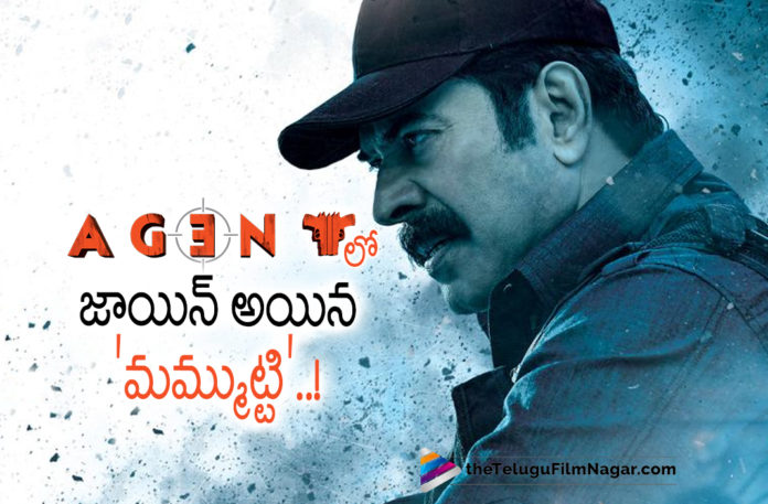 Legendary Actor Mammootty Joins Akhil Akkinenis Agent,Telugu Filmnagar,Latest Telugu Movies 2022,Telugu Film News 2022,Tollywood Movie Updates,Latest Tollywood Updates, Akhil Akkineni,Hero Akhil Akkineni,Akhil Akkinenis Movie Updates,Akhil Akkinenis Upcoming Movies,Akhil Akkinenis Latest Movies,Akhil Akkinenis Upcoming Movie Agent, Akhil Akkinenis New Movie Agent,Akhil Akkinenis Agent Movie latest Updates,Mammootty with Akhil Akkineni Movie Agent,Legendary Actor Mammotty in Agent Movie, Agent Movie Updates,AGent Latest News,Sakshi Vaidya Actress,Actress Sakshi Vaidya with Akhil Akkineni movie Agent,Thaman s Music Director Movie,Thaman S Music for Agent Movie, Agent Movie shoot Updates, Akhil Akkineni Agent Movie Shoot Updates,Surender Reddy Movie Director,Surender Reddy Movie with Akhil Akkineni,#Agent,#Mammooty,#Sakshivaidya