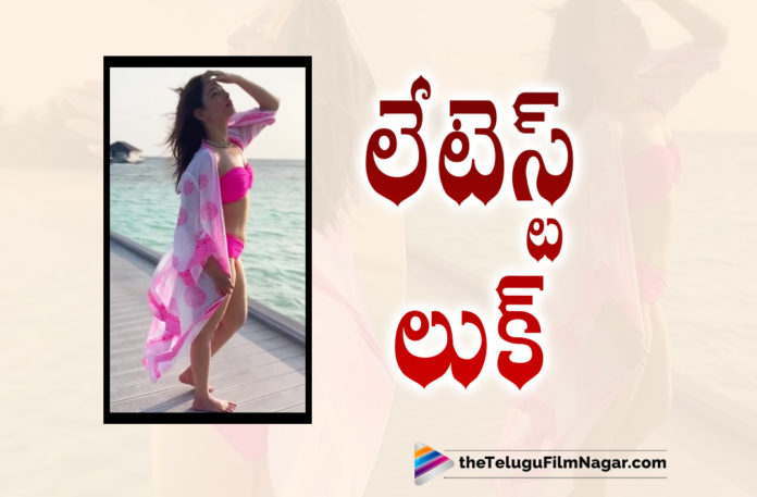 Milky Beauty Tamannaah’s Latest Clicks Go Viral,Telugu Filmnagar,Latest Telugu Movies 2022,Telugu Film News 2022,Tollywood Movie Updates,Latest Tollywood Updates,Latest Film Updates,Tollywood Celebrity News, Milky Beauty Tamannaah,Tamannaah Movies,Tamannaah latest Updates,Tamannaah Telugu Movies,Tamannaah Movie Updates,Tamannaah Next Movie,Tamannaah Next Projects,Tamannaah upcoming Movies, Tamannaah latest Clicks,Tamannaah Latest Pictures,Tamannaah Latest Photos,Tamannaah Latest Pictures Goes Viral in Social Media,Tamannaah Pictures Goes Viral in Social Media, Tamannaah Special Songs,Tamannaah Gurthunda Seethakalam Upcoming Movie,Satyadev and Tamannaah in Gurthunda Seethakalam Upcoming Movie,Tamannaah In Bhola Shankar,Tamannaah with Chiranjeevi Movie Bhola Shankar, Tamannaah in F3 Movie,Tamannaah Special Song in Ghani Movie,Tamannaah Upcoming Bollywood movie Bole Chudiyan and Plan A and Plan B Movie,Tamannaah Female orianted Movie Babli Bouncer,Tamannaah In Hindi Webseries, Tamannaah Shared Pink Bikini latest Photo in instagram,Tamannaah Pink Bikini Picture Goes Viral in social Media,#Tamannaah
