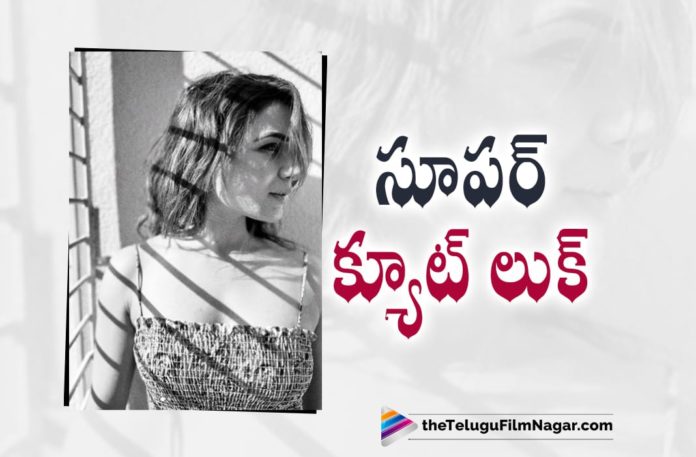 Samantha’s Super Cute Look,Telugu Filmnagar,Latest Telugu Movies 2022,Telugu Film News 2022,Tollywood Movie Updates,Latest Tollywood Updates, Samantha,samantha Super Cute Look,samantha Upcoming Movies,samantha Latest Movies,samantha New Movies,samantha Cute Looks,samantha New Cute Look Images Goes Viral, samantha Cute Look Photos in Social Media,samantha Hot and Cute Look Photos Goes viral in Social Media,samanthas Super Cute Look Photos in Social Media, samantha in Pushpa Item Song,samantha Upcoming Movie Kaathu Vaakula Rendu Kadhal,Yashoda Samantha Upoming Movie,Samantha Ruth Prabhu New Pics,Samantha Upcoming Movie Shaakuntalam, Samantha in Instagram,Smantha share her cute Pictures in Instagram,#samantha