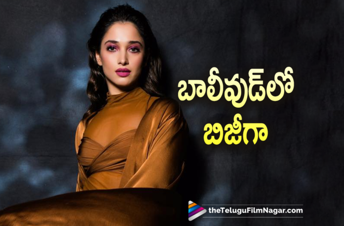 Tamannaah Gets Busy In Bollywood,Telugu Filmnagar,Latest Telugu Movies 2022,Telugu Film News 2022,Tollywood Movie Updates,Latest Tollywood Updates, Tamannaah,Actress Tamannaah Movies,Tamannaah Upcoming Movies,Tamannaah latest Movies,Tamannaah Super Hit Movies,Milky Beauty Upcoming Movies, Tamannaah Gets Busy In Bollywood Movies,Milky Beauty Tamannaah Upcoming Movies In 2022,Tamannaah About Her Career,Tamannaah About Film Industry,Tamannaah in Bhola Shankar, Tamannaah With Venkatesh F3 Movie,Satyadev and Tamannaah in Gurthunda Seethakalam upcoming movie,Tamannaah in Gani Movie,Tamannaah Special Song in Gani Movie, Tamannaah in hindi Webseries,Tamannaah Bollywood Movie Bole Chudiyan,Plan A Plan B Movie Updates,Tamannaah Plan A Plan B Movie Updates, Tabaahi Baadshah and Tamanna bhatiya new song,Tamannaah Dance with Baadshah on Tabaahi song