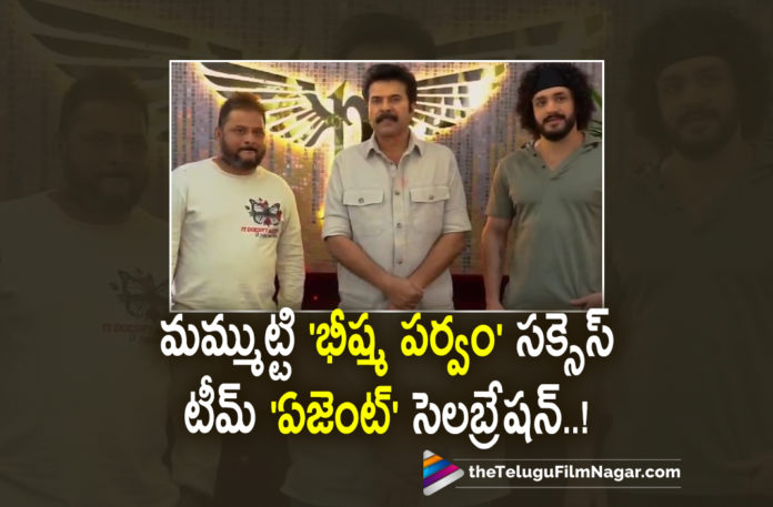 Team Agent Celebrates Mammoottys Bheeshmaparvam Success Team Agent Celebrates Mammoottys Bheeshmaparvam Success,Telugu Filmnagar,Latest Telugu Movies 2022,Telugu Film News 2022,Tollywood Movie Updates,Latest Tollywood Updates,Tollywood Big Buget Movies,Telugu OTT Movies, Team Agent Celebrates Mammoottys Bheeshmaparvam Movie Sucess,Mammoottys Bheeshmaparvam,Mammoottys Bheeshmaparvam Movie Updates,Mammoottys Bheeshmaparvam latest Movie Updates,Mammoottys Bheeshmaparvam Publick Talk,Mammoottys Bheeshmaparvam Super Hit Movie, Mammootty Bheeshma Parvam Mvie On March 3rd,Mammootty Bheeshma Parvam movie will Release on March 3rd,Anasuya in malayalam Movie,Anasuya Entry in Malayalam movies, Anasuya With mammotty Movie Bheeshma Parvam,Sushin Shyam Music Director For Bheeshma Parvam Movie,Sushin Shyam Music Composer,Sushin Shyam Songs, Director Amal Neerad Movie Bheeshma Parvam,Director Amal Neerad Upcoming Movies in 2022,Director Amal Neerad New Projects,Director Amal Neerad with Mammootty Upcoming Movie Bheeshma Parvam,#BheeshmaParvam,#Mammootty Akhil Akkinenis New Movie Agent,Akhil Akkinenis Agent Movie latest Updates,Mammootty with Akhil Akkineni Movie Agent,Legendary Actor Mammotty in Agent Movie, Agent Movie Updates,AGent Latest News,Sakshi Vaidya Actress,Actress Sakshi Vaidya with Akhil Akkineni movie Agent,Thaman s Music Director Movie,Thaman S Music for Agent Movie, Agent Movie shoot Updates,Akhil Akkineni Agent Movie Shoot Updates,Surender Reddy Movie Director,Surender Reddy Movie with Akhil Akkineni,#Agent,#Mammooty,#Sakshivaidya