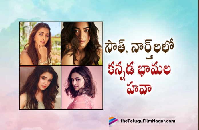 Kannada Actress Craze In South and North,Telugu Filmnagar,Latest Telugu Movies News,Telugu Film News 2022,Tollywood Movie Updates,Tollywood Latest News, Rashmika Mandanna,National Crush Rashmika Mandanna,Rashmika Mandanna Upcoming movies,Rashmika New Movies,Rashmika Latest Blockbuster movie Pushpa the Rise, Krithi Shetty,Uppana Fame Krithi Shetty,Krithi Shetty New Movie Updates,Krithi Shetty Upcoming Movies,Krithi Shetty latest Movie Updates,Krithi Shetty Blocbuster movies, Deepika Padukone,Bollywood Actress Deepika padukone,Deepika padukone In Tollywood,Deepika padukone Project K movie Updates,Deepika padukone Upcoming Movies,Deepika padukone Latest Movie Updates