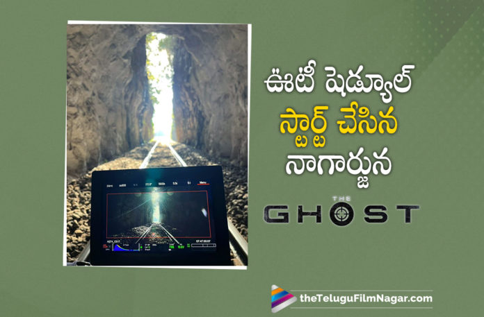 Nagarjuna The Ghost Movie Latest Update,Telugu Filmnagar,Latest Telugu Movies News,Telugu Film News 2022,Tollywood Movie Updates,Tollywood Latest News, Nagarjuna,Akkineni Nagarjuna,Hero Akkineni Nagarjuna,Akkineni Nagarjuna Movie Updates,Akkineni Nagarjuna New movie,Akkineni Nagarjuna The Ghost Movie Latest Updates, Nagarjuna The Ghost Movie Latest News,Nagarjuna The Ghost Movie Latest Updates,Nagarjuna The Ghost Movie New Project The Ghost,The Ghost Shooting Updates,The Gost Releaseing Date Updates, The Ghost Telugu Movie,The Ghost Movie Shoot in Ooty,The Ghost Movie Schedule in Ooty,Nagarjuna The Ghost Movie Schudled at Ooty