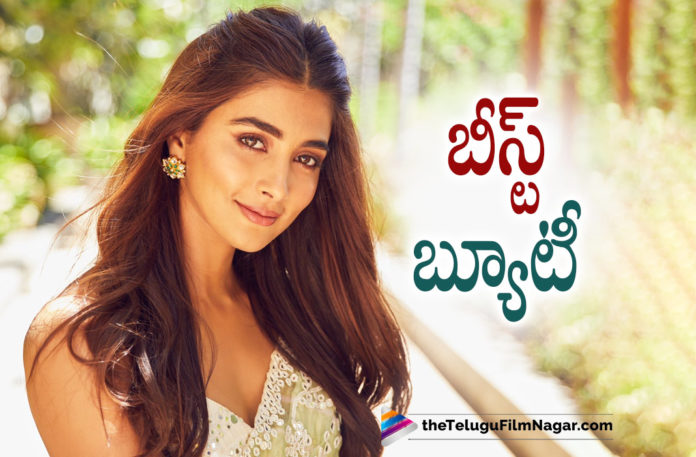 Pooja Hegde–The Beast Beauty,Telugu Filmnagar,Latest Telugu Movies News,Telugu Film News 2022,Tollywood Movie Updates,Tollywood Latest News, Pooja Hegde,Actress Pooja Hegde,Pooja Hegde movie updates,Pooja Hegde Upcoming movies,Pooja Hegde Latest Movie updates,Pooja Hegde Upcoming Movies, Pooja Hegde New movie Updates,Pooja Hegde Beast Beauty,Pooja Special Song in F3 movie,Fans named Pooja Hegde as Beast beauty,Pooja upcoming movies in tollywood