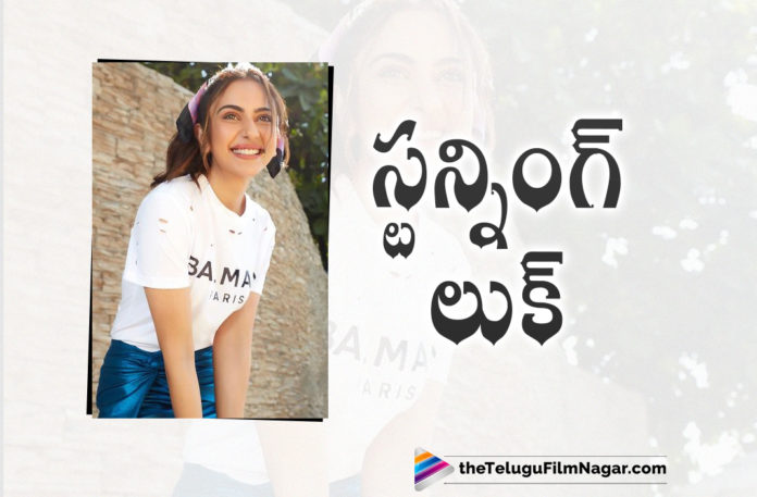 Rakul Preet Stunning Look Photo Goes Viral in Social Media,Telugu Filmnagar,Latest Telugu Movies News,Telugu Film News 2022,Tollywood Movie Updates,Tollywood Latest News, Rakul Preet,Actress Rakul Preet,Rakul Preet Movie Updates,Rakul Preet Latest News,Rakul Preet Social Media News,Rakul Preet In Social Media,Rakul Preet Stunning Look, Rakul Preet Photo Goes Viral in Social Media,Rakul Preet photo Goes Viral in social Media,Rakul Preet Stunning Looks