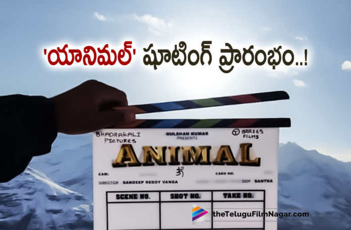 Ranbir Kapoor Animal Movie Shoot Started,Telugu Filmnagar,Latest Telugu Movies News,Telugu Film News 2022,Tollywood Movie Updates,Tollywood Latest News, Sandeep Reddy Vanga,Director Sandeep Reddy Vanga,Ranbir Kapoor Movie Updates,Ranbir Kapoor Latest Movie Updates,Sandeep Reddy Vanga New Movie,Ranbir Kapoor Movie Animal, Ranbir Kapoor Animal Movie,Sandeep Reddy Vanga Upcoming Movie In Bollywood,Sandeep Reddy Vanga Bollywood Movie Updates,Ranbir Kapoor Animal Movie Updates,Animal Hindi Movie, Sandeep Reddy Vanga Directing New Movie In Bollywood Animal,Animal Shooting Updates,Ranbir Kapoor Animal Movie Shooting Started, Ranbir Kapoor Animal Movie Shoot Commences