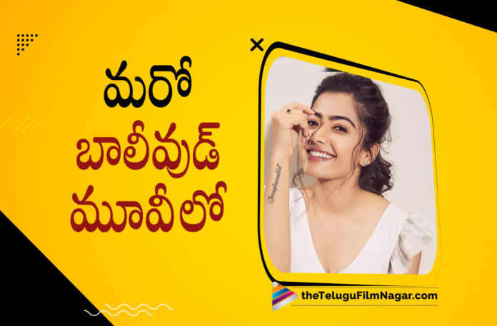 Rashmika Mandanna Onboard for another Bollywood Project,Telugu Filmnagar,Latest Telugu Movies News,Telugu Film News 2022,Tollywood Movie Updates,Tollywood Latest News, Rashmika Mandanna,Actress Rashmika Mandanna,Rashmika Mandanna New Movie,Rashmika Mandanna latest Movie Updates,Rashmika Mandanna New Movie News,Rashmika Mandanna New Bollywood Movie, Rashmika Mandanna with Ranbir Kapoor,Rashmika Mandanna on Board For Ranbir Kappor,Ranbir Kapoor’s Animal Movie,Rashmika Mandanna Team up with Ranbir Kappor's Animal Movie, Rashmika Mandanna as Geetanjali in Animal Movie
