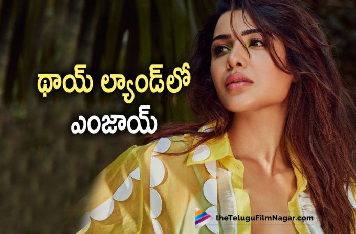 Samantha Holidaying in Thailand,Telugu Filmnagar,Latest Telugu Movies News,Telugu Film News 2022,Tollywood Movie Updates,Tollywood Latest News, Samantha,Actress Samantha,Samantha Movie Updates,Samantha New Movie Updates,Samantha latest Movie Updates,Samantha New Movies, Samantha in Thailand,Samantha Enjoying in Thailand,Samantha Holidaying in Thailand,Samantha Thailand pictures Goes Viral in Social Media, Samantha Shared her Pcitures in Social Media,Samantha Shared Thailand pictures in Social media