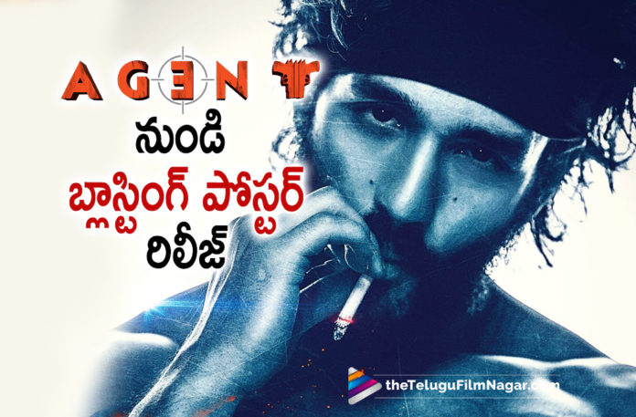 Team Agent Releases A Blasting Poster On The Occasion of Akhil’s Birthday,Telugu Filmnagar,Latest Telugu Movies News,Telugu Film News 2022,Tollywood Movie Updates,Tollywood Latest News, Akhil,Hero Akhil,Akhil Birthday,Akhil happy Birthday,Akhil HBD,Akhil Movie Updates,Actor Akhil upcoming Movie,Akhil Latest Movie Updates,Akhil New Movie Updates,Akhil New Movie Agent, Agent Telugu Movie,Team Agent Releases A Blasting Poster,Blasting Poster From Agent Movie,Akhil Agent Poster Released,Agent Movie Poster Released on the occasion of Akhils Birthday, Agent Movie Poster Released,Agent Movie Poster Out Now