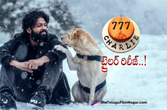 777 Charlie Telugu Trailer Out Now,Telugu Filmnagar,Latest Telugu Movies News,Telugu Film News 2022,Tollywood Movie Updates,Tollywood Latest News, 777 Charlie,777 Charlie Movie,777 Charlie Telugu Movie,777 Charlie Movie Trailer,777 Charlie Telugu Movie Trailer,777 Charlie Movie Trailer Updates, 777 Charlie Upcoming Movie Trailer,777 Charlie Movie Trailer Released,777 Charlie Trailer Released Out,777 Charlie Trailer,Hero Rakshit Shetty, Rakshit Shetty Latest Movie 777 Charlie Trailer Out Now,Rakshit Shetty Upcoming Movie 777 Charlie Trailer Released Now