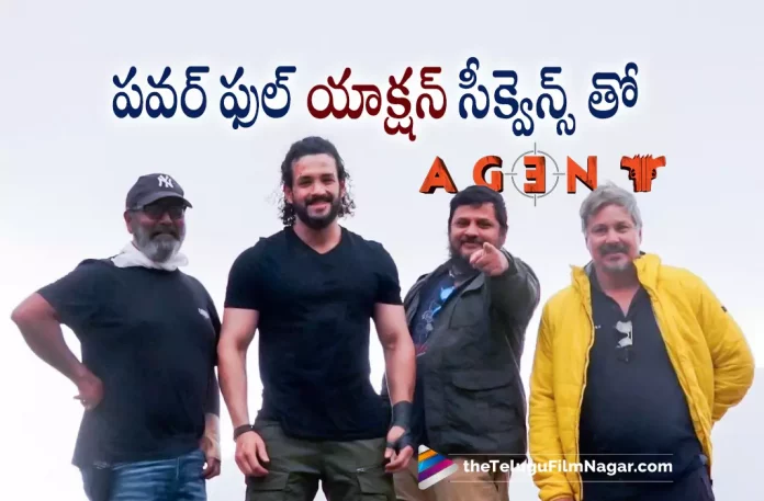 Agent Movie Team Busy Shooting Powerful Action Scenes,Akhil Akkineni’s Agent Movie Shooting Update,Telugu Filmnagar,Latest Telugu Movies News,Telugu Film News 2022,Tollywood Movie Updates,Latest Tollywood Updates,Agent,Agent Movie,Agent Telugu Movie,Agent Movie Updates,Agent Telugu Movie Latest News,Akhil Akkineni,Agent Movie Shooting Updates,Agent Telugu Movie Shooting Latest News