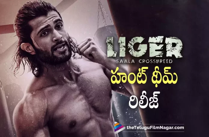 Liger Hunt Theme Unveiled on Vijay Deverakondas Birthday,Vijay Deverakonda’s Liger Theme Song Out Now,Telugu Filmnagar,Latest Telugu Movies News,Telugu Film News 2022,Tollywood Movie Updates,Tollywood Latest News, Liger,Liger Movie,Liger Telugu Movie,Liger latest Movie Updates,Liger Theme Songs OUt Now, Vijay Deverakonda Liger Theme Song Out Now, Liger Theme Song,Vijay deverakonda Liger Song out Now,Vijay deverkonda Upcoming Movie Liger Theme Song Out Now,Vijay Deverakonda Theme Song Released, Vijay Deverakonda Upcoming Movies,Vijay Deverakonda Movie Updates,Vijay Deverakonda latest Next Projects Updates,Vijay Deverakondas Birthday