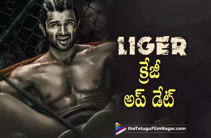 Liger movie crazy Update,Liger Hunt Starts On Vijay Deverakonda’s Birthday,Telugu Filmnagar,Latest Telugu Movies News,Telugu Film News 2022,Tollywood Movie Updates,Tollywood Latest News, Liger,Liger Movie,Liger Telugu Movie,Liger Movie latest Updates,Liger Movie latest News, Vijay Deverakonda Liger Movie Updates,Vijay Deverakonda Birthday, Happy Birthday Vijay Deverakonda,HBD Vijay Deverakonda,Liger Hunts Starts on Vijay Deverakonda Birthday,Vijay Deverakonda BIrthday on May 9th,9th May Hero Vijay Deverakonda Birthday, Makers of Liger Movie Shared a post in social media,Puri Jagannadh and Vijay Deverakonda Movie Liger,Vijay Deverakonda Upcoming Movies,Vijay Deverakonda Latest Movie Updates