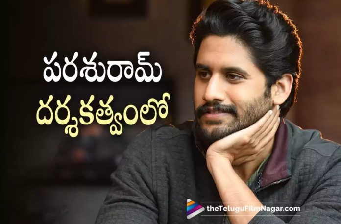 Naga Chaitanya film with Parasuram confirmed,Telugu Filmnagar,Latest Telugu Movies News,Telugu Film News 2022,Tollywood Movie Updates,Tollywood Latest News, Naga Chaitanya,Hero Naga Chaitanya,Naga Chaitanya Movie Updates,Naga Chaitanya Latest Movie Updates,Naga Chaitanya new Movie Updates,Naga Chaitanya Upcoming Movies, Naga Chaitanya Movie With Parasuram,Naga Chaitanya Movie With Director Parasuram,Director Parasuram New Moviw Confirm with Naga Chaitanya