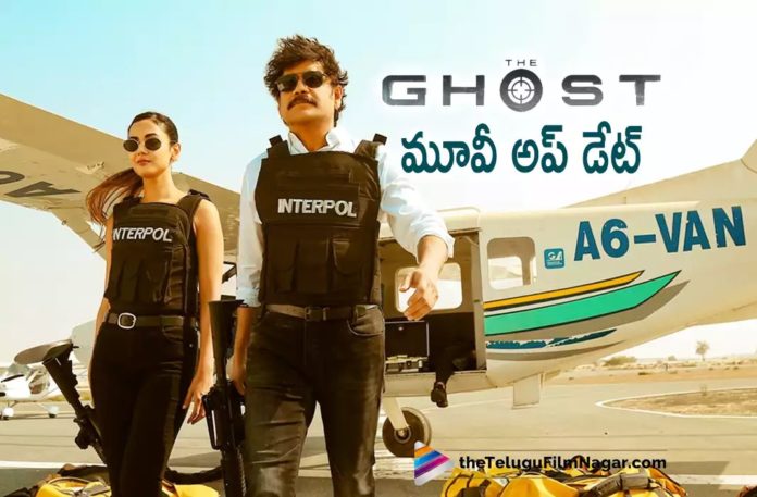Nagarjuna’s The Ghost Movie Update,Telugu Filmnagar,Latest Telugu Movies News,Telugu Film News 2022,Tollywood Movie Updates,Tollywood Latest News, The Ghost,The Ghost Movie,The Ghost Telugu Movie,The Ghost Latest Updates,The Ghost Upcoming Movie,The Ghost Shooting Updates, The Ghost Shoot Updates,Nagarjuna The Ghost Movie Shooting updates,Nagarjuna The Ghost Movie Updates,Nagarjuna The GhostLatest Movie Updates