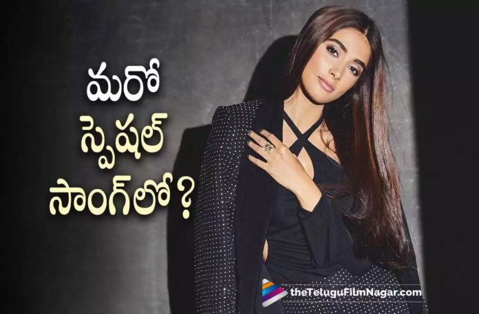 Pooja Hegde To Do Another Special Song,Telugu Filmnagar,Latest Telugu Movies News,Telugu Film News 2022,Tollywood Movie Updates,Tollywood Latest News,Pooja Hegde,Actress Pooja Hegde,Pooja Hegde Upcoming Movie,Pooja Hegde Latest Movie Update,Pooja Hegde Special Song,Pooja Hegde another Special Song,Pooja Hegde Movie Latest Updates,Pooja Hegde Special Song Latest Updates,Pooja Hegde Coming Up with Another Special Song,Pooja Hegde Special Song in Animal Movie,Pooja Hegde In Animal Movie Special Song Update,Pooja Hegde To Do Special Song in Animal Movie