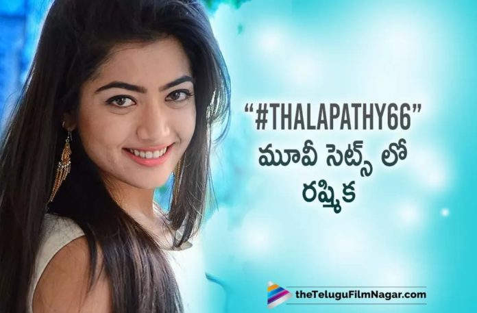 Rashmika Mandanna in #Thalapathy66 sets,Telugu Filmnagar,Latest Telugu Movies News,Telugu Film News 2022,Tollywood Movie Updates,Tollywood Latest News, #Thalapathy66 Movie,#Thalapathy66 Movie Updates,#Thalapathy66 upcoming Movie Of Thala Vijay,Thala Vijay Upcoming Movie #Thalapathy66, Thala Vijay Latest Movie Updates,Thala Vijay #Thalapathy66 Movie Shooting Updates,Rashmika in the sets of #Thalapathy66,Rashmika Visited Sets of #Thalapathy66 Movie