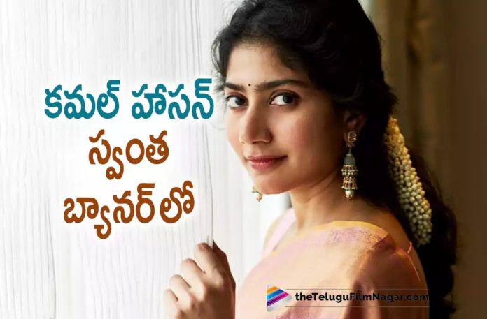 Sai Pallavi To Act In Kamal Haasan Banner,Telugu Filmnagar,Latest Telugu Movies News,Telugu Film News 2022,Tollywood Movie Updates,Tollywood Latest News, Sai Pallavi,Actress Sai Pallavi,Sai Pallavi movie Updates,Sai Pallavi Latest Updates,Sai Pallavi to Act in Kamal Haasan Banner,Sai Pallavi Upcoming Movie in Kamal Haasan Banners, Sai Pallavi To Act In Kamal haasan Banners,Sai Pallavi New Movie in Kamal Haasan Production banners,Sai Pallavi Next Projects,Sai Pallavi Tollywood Movies,Sai Pallavi Telugu Movie Updates