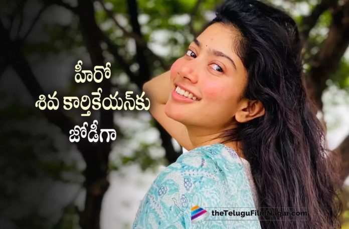 Sai pallavi to pair up with Shivakarthkeyan,Telugu Filmnagar,Latest Telugu Movies News,Telugu Film News 2022,Tollywood Movie Updates,Tollywood Latest News, Sai pallavi,Actress Sai pallavi,Sai pallavi Movie,Sai pallavi latest Updates,Sai pallavi Upcoming Movies,Sai pallavi New Movie Updates,Sai pallavi Latest Movies with Shivakarthkeyan, Shivakarthkeyan Movie with sai Pallavi,Shivakarthkeyan New Movie Udpates,Shivakarthkeyan Upcoming Movies,Shivakarthkeyan latest Movies,Shivakarthkeyan Pair Up with sai Pallavi
