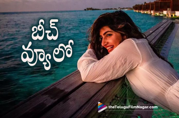 Sree Leela latest pics went viral,Telugu Filmnagar,Latest Telugu Movies News,Telugu Film News 2022,Tollywood Movie Updates,Tollywood Latest News, Pelli Sandadi actress Sree Leela enjoys beach views,Pelli Sandadi actress Sree Leela,Pelli Sandadi Fame Sree Leela,Sree Leela Movies, Actress Sree Leela,Sree Leela Upcoming Movies,Sree Leela latest News,Sree Leela New Movie Updates,Sree Leela Enjoys Beach, Sree Leela Shared Beach View Pictures Goes Viral in Social Media,Actress Sree Leela Shared Beach View Pics In Social Media, Sree Leela Beach View Pics Goes Viral In Social Media,Sree Leela Beach Photos Goes Viral