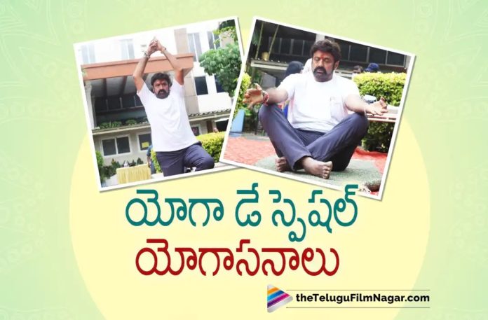 Balakrishna Yoga Day Special Videos Went Viral,Telugu Filmnagar,Latest Telugu Movies News,Telugu Film News 2022,Tollywood Movie Updates,Tollywood Latest News, Balakrishna,Nandamuri Balakrishna,Balakrishna Yoga Special,Balakrishna Yoga Day Special,Balakrishna Yoga day Special Video Goes Viral in Social Media, Balakrishna latest Movie updates,Balakrishna New Movie Updates,Yoga Day Special,Yoga Day,Balakrishna on Yoga Day,#NBK107,Balakrishna #NBK107