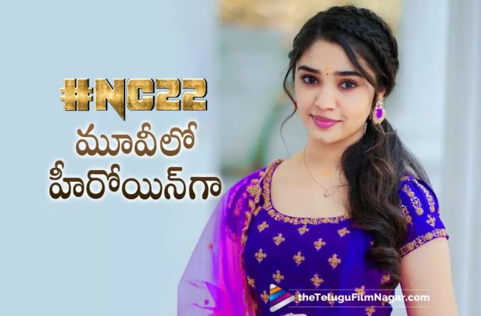 Krithi Shetty onboard for #NC22,NC22 Update: Krithi Shetty On Board For Naga Chaitanya And Venkat Prabhu Movie,Telugu Filmnagar,Latest Telugu Movies News,Telugu Film News 2022,Tollywood Movie Updates,Tollywood Latest News,NC22 Update,Naga Chaitanya,Naga Chaitanya Latest News,Naga Chaitanya New Movie News,Naga Chaitanya Upcoming Film Updates,Naga Chaitanya New Project News,Krithi Shetty Pair up with Naga Chaitanya,Krithi Shetty New Movie With Naga Chaitanya,Krithi Shetty Upcoming Film With Naga Chaitanya,Actress Krithi Shetty Latest News,Heroine Krithi Shetty New Movie,Krithi Shetty Upcoming Movie with Naga Chaitanya,Venkat Prabhu
