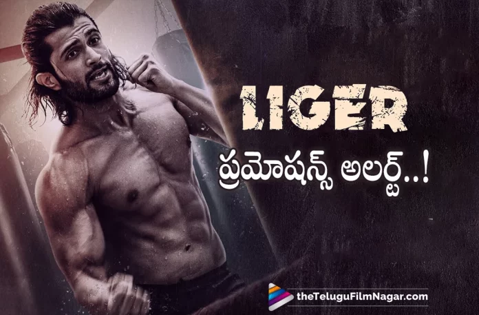 Liger Movie Team Planning for Kick-ass Promotions,Telugu Filmnagar,Latest Telugu Movies News,Telugu Film News 2022,Tollywood Movie Updates,Tollywood Latest News,Liger,Liger Movie,Liger Telugu Movie,Liger Movie Updates,Liger Telugu Movie Latest News,Liger Promotions,Liger Movie Promotions,Liger Telugu Movie Promotions,Liger Movie Team Planning for Promotions,Vijay Deverakonda,Vijay Deverakonda Liger Movie Promotions,Vijay Deverakonda Liger Telugu Movie Promotions,Vijay Deverakonda Liger Promotions,Liger Movie Team Planning for Promotions