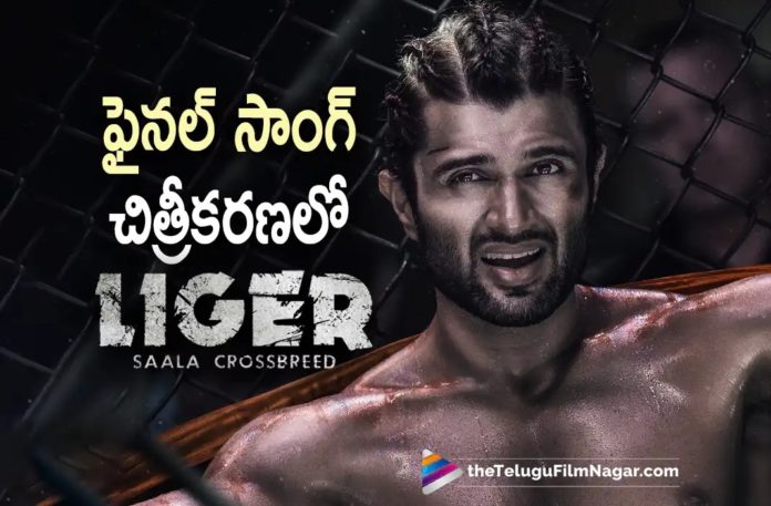 Liger movie shoot nearing completion,Telugu Filmnagar,Latest Telugu Movies News,Telugu Film News 2022,Tollywood Movie Updates,Tollywood Latest News, Liger,Liger Movie,Liger Telugu Movie,Liger Pan Indian Movie,Vijay Deverakonda,Vijay Deverakonda Liger Movie Updates,Vijay Deverakonda Liger Movie Final Song Shooting Updates, Puri Liger Movie Updates,Liger Movie Last SOng Shoot Updates,Liger Movie Songs,Liger Movie Shooting Updates,Liger Movie Final Song,Vijay Deverakond Latest Movie Updates,Vijay Deverakonda Upcoming movies, VIjay Deverakonda and Puri Upcoming Movie Liger Final Song Shoot Updates