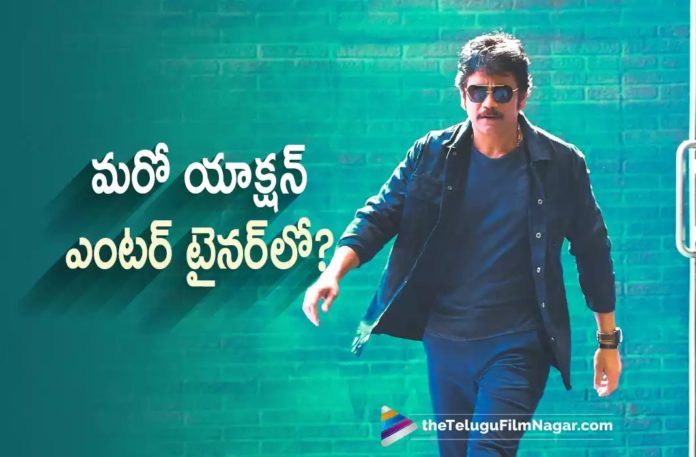 Nagarjuna To Act In Another Action Entertainer,Nagarjuna Signs a Project With Young Mass Director Sampath Nandi,Telugu Filmnagar,Latest Telugu Movies News,Telugu Film News 2022,Tollywood Movie Updates,Tollywood Latest News, Akkineni Nagarjuna,Nagarjuna,Hero Nagarjuna,Nagarjuna Latest Movie Updates,Nagarjuna Upcoming Movies,Nagarjuna Latest News,Nagarjuna Movie With Mass Director Sampath Nandi, Director Sampath Nandi Movie With Nagarjuna,Director Sampath Nandi New Movie With Nagarjuna,Director Sampath Nandi Upcoming Movie With Nagarjuna