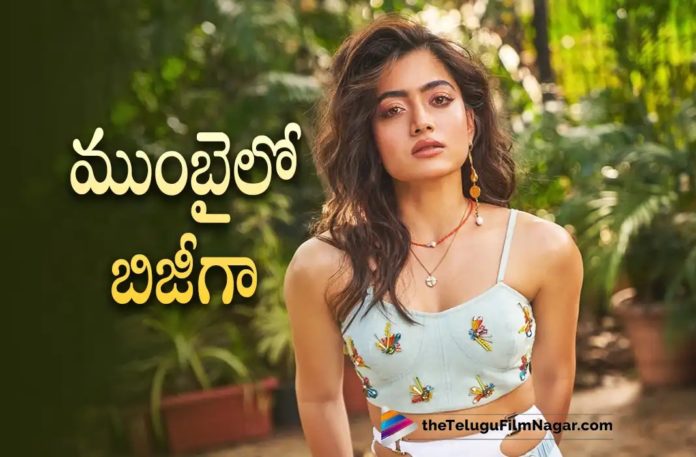 Rashmika Mandanna Busy With Goodbye Movie Shooting In Mumbai,Telugu Filmnagar,Latest Telugu Movies News,Telugu Film News 2022,Tollywood Movie Updates,Tollywood Latest News, Rashmika Mandanna,Actress Rashmika Mandanna,Rashmika Mandanna latest Updates,Rashmika Mandanna Movie Updates,Rashmika Mandanna New Movie Updates,Rashmika Mandanna Busy in Shoot at Mumbai, Rashmika Mandanna Good Bye Movie Latest updates,Rashmika Mandanna Good Bye Movie Shooting in Mumbai,Rashmika Mandanna Latest upcoming movie Good Bye Movie Updates, Rashmika Mandanna in Mumbai,Rashmika Mandanna Busy with Good Bye Movie Shoot,Rashmika Mandanna Latest Shooting Updates