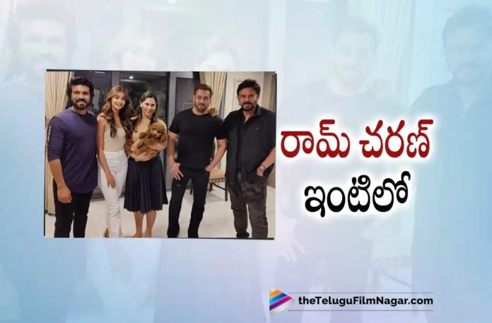 Salman Khan,Venkatesh Daggubati and Pooja Hegde Visits Ram Charan House In Hyderabad,Telugu Filmnagar,Latest Telugu Movies News,Telugu Film News 2022,Tollywood Movie Updates,Tollywood Latest News, Salman Khan and Venkatesh Meet Ramcharan,Salman Khan,Bollywood Star Slaman Khan,Victory Venkatesh and Salman Khan,Ramcharan and Upasana,Salman Khan Meet Ramcharna and Upasana At there Home, Salman Khan Meet Ramcharan and Upasana,Venaktesh and Salman Khan Visit Ramcharan Home,Salman Khan,Venkatesh Daggubati and Pooja Hegde,Salman Khan,Venkatesh Daggubati and Pooja Hegde Ram Charan in Hyderabad