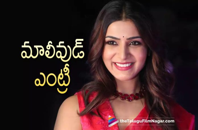 Samantha To Enter Mollywood Soon Samantha To Enter Mollywood Soon?,Telugu Filmnagar,Latest Telugu Movies News,Telugu Film News 2022,Tollywood Movie Updates,Tollywood Latest News, Samantha,Actress Samantha,Samantha Latest movie Updates,Samantha latest Updates,Samantha latest News,Samantha Movie Updates,Samantha Upcoming movies,Samantha New Movie Updates, Samantha Mollywood Entery Soon,Samantha To Act In Mollywood Soon,Samantha Mollywood Movie Soon,Samantha to Act in Mollywood Movie Soon,Samantha Telugu Movies,Samantha and Vijay Deverakonda Movie Updates,