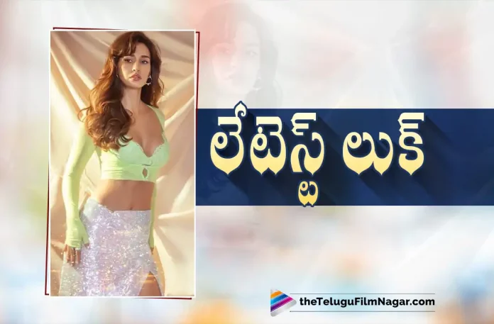 Disha Patani’s Latest Look Goes Viral,Telugu Filmnagar,Latest Telugu Movies News,Telugu Film News 2022,Tollywood Movie Updates,Tollywood Latest News, Disha Patani,Actress Disha Patani,Disha Patani Latest Photo Shoot,Disha Patani Latest Hot Photo Shoot,Disha Patani Hot Photo Shoot Pictures,Disha Patani Hot Photo Shoot Pictures Goes Viral in Social Media, Disha Patani Latest Updates,Disha Patani Movie Updates,Disha Patani Shoot Updates,Disha Patani Upcoming Movies,Disha Patani New Movies,Disha Patani latest Pictures,Disha Patani Hot Photo shoot,Disha Patani In Project K Movie, Disha Patani with Prabhas Project K Movie,Disha Patani Re-Entery with Project K Movie,Disha Patani Hindi Movies,Disha Patani Bollywood Movies