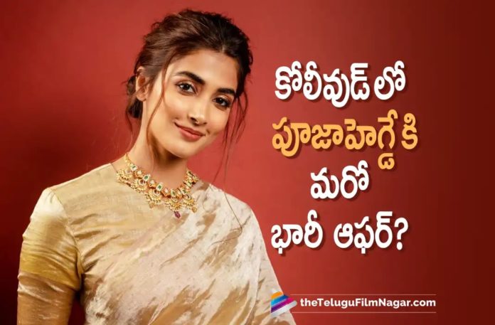 Pooja Hegde Gets Bumper Offer from Kollywood,Telugu Filmnagar,Latest Telugu Movies News,Telugu Film News 2022,Tollywood Movie Updates,Tollywood Latest News, Pooja Hegde,Actress Pooja Hegde,Pooja Hegde Movie Updates,Pooja Hegde latest Movie Updates,Pooja Hegde latest Movies,Pooja Hegde Upcoming movies,Pooja Hegde New Movies, Pooja Hegde Next Projects,Pooja Hegde Upcoming movies,Pooja Hegde Another Offer in kollywood,Pooja Hegde got an offer in kollywood,Pooja Hegde with Mahesh Babu Upcoming Movie #SSMB28, Pooja Hegde in #SSMB28 Movie,#SSMB28 Movie Updates,Pooja Hegde With Vijay Deverakonda in Jana Gana Mana Mmovie,Jana Gana Mana Movie Updates,Jana Gana Mana New Movie Updates, Pooja Hegde and Vijay Deverakonda Upcoming Movie Jana Gana Mana,Pooja Hegde with Star Hero Suriya,Pooja Hegde to act with Tamil Star Hero Suriya,Pooja Hegde and Suriya upcoming Moive