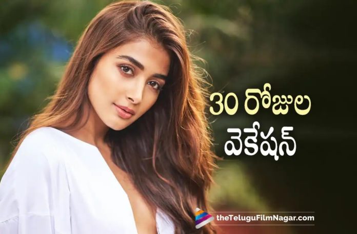 Pooja Hegde Plans For a Big Vacation,Telugu Filmnagar,Latest Telugu Movies News,Telugu Film News 2022,Tollywood Movie Updates,Tollywood Latest News, Pooja Hegde,Actress Pooja Hegde,Pooja Hegde latest Movie Updates,Pooja Hegde New Movie Updates,Pooja Hegde Upcoming Movies,Pooja Hegde Holiday Vacation, Pooja Hegde Long Vacation,Pooja Hegde Planned a Long Vacation,Pooja Hegde Next Projects,Pooja Hegde in #SSMB28,Pooja Hedge with Mahesh Babu,Pooja Hedge With Mahesh Babu in #SSMB28, Pooja Hegde with Vijay Deverakonda Movie Jana Gana Mana,Pooja In Puri Movie Jana Gana Mana,Jana Gana Mana Tollywood Movies,pooja Hegde with Hero Suriya in Tamil Movies,Pooja Hegde in Bangkok, Pooja Hedge In Bangkok,Pooja Enjoying Holidays in Bangkok,Pooja Hegde Vacation In Bangkok,Pooja Hegde Vacation Pic Goes Viral in Social Media,Pooja Hegde Share Her Vacation Pictures in Social Media Goes Viral